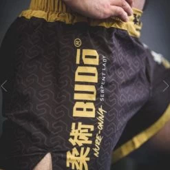 Budo Nure Onna 5" Ultra Light MMA BJJ Shorts -Boxing Store 123123