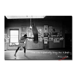 Ali Inspirational Quotes Canvas Range 12 Ali Inspirational Quotes Canvas Range -Boxing Store AliFloat