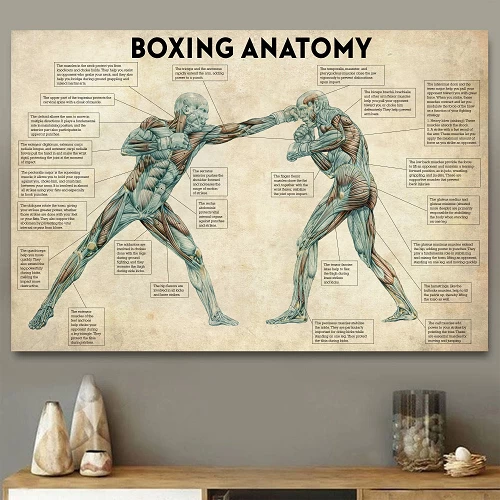 The Anatomy Of Boxing Canvas Print 4 The Anatomy Of Boxing Canvas Print - Image 2