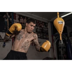 Pro Mex Professional Double End Bag V2.0 -Boxing Store ProMexProfessionalDoubleEndBagV2.02