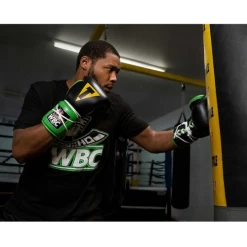 Title Boxing WBC Sparring Gloves -Boxing Store TITLEBoxingWBCSparringGloves3