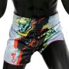 Fairtex Slim Cut Muay Thai Shorts Satoru Grey BS1909 -Boxing Store aa 1dd71542 177c 42cf 9a78 69ac88e990a4