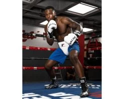 Fighting Deluxe Boxing Abdo Groin Guard 2.0 -Boxing Store fsdgap2 1 4