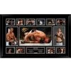 Nate Diaz Signed Limited Edition Photo Framed -Boxing Store nate